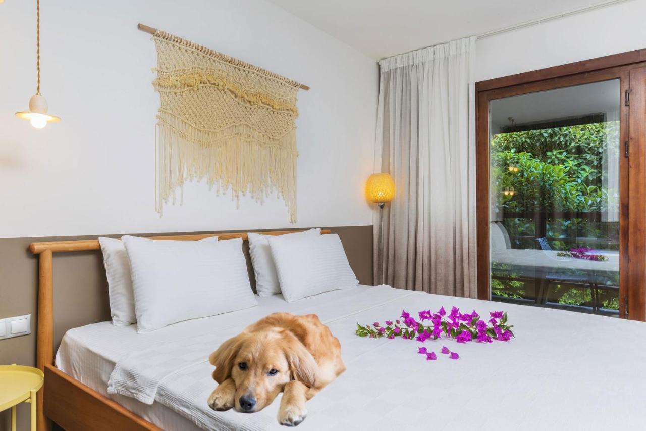 Faros Bodrum Hotel - Special Category Голтуркбуку Екстериор снимка